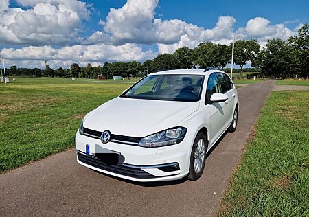 VW Golf Volkswagen 1.6 TDI DSG Comfortline Variant Comfortline