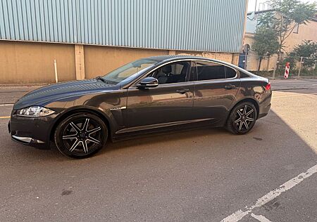 Jaguar XF 3.0 L V6 - LEDER - NAVI - XENON - SHZ