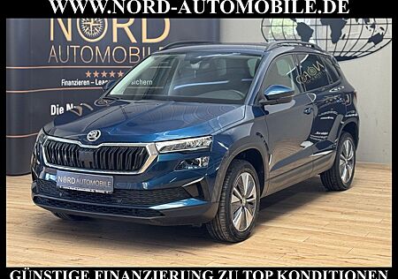 Skoda Karoq Business 2.0 TDI DSG Virt.Cockpit/Kamera/