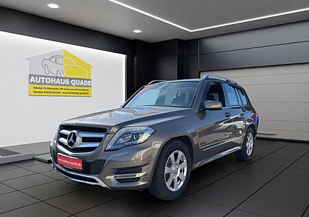 Mercedes-Benz GLK 250 CDI AHK 4Matic DPF Sportpaket Navi Bi-Xe