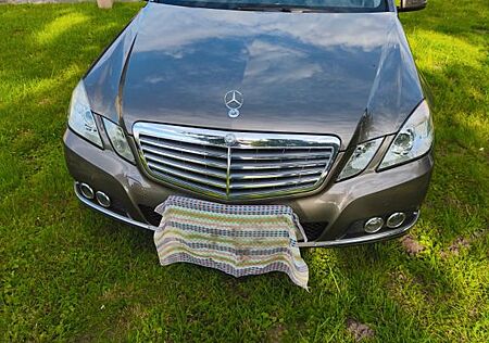 Mercedes-Benz E 220 CDI T BlueEFFICIENCY ELEGANCE ELEGANCE