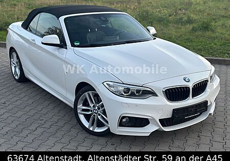 BMW 220 M-Paket*Sport-Autom*1.Hand*H&K**Keyless-GO*Leder