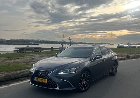 Lexus ES 300 300h Business Line Automatik Business...