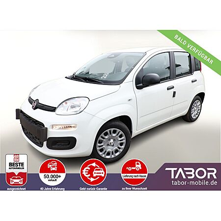 Fiat Panda leasen