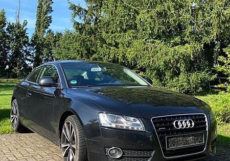 Audi A5 3.0 TDI (DPF) quattro -