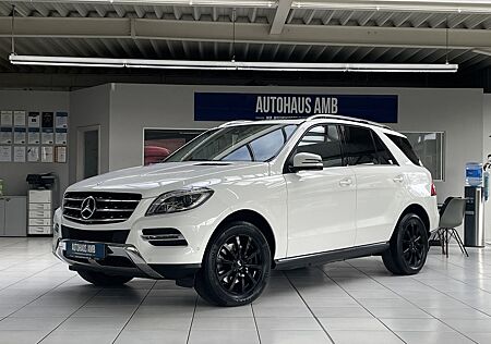 Mercedes-Benz ML 250 CDI BlueTec 4MATIC Schiebed. Spurh.Kamera