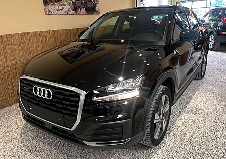 Audi Q2 quattro Panoramadach