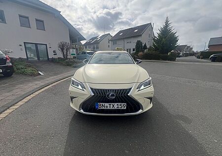 Lexus ES 300 300h Business Line Automatik Business...