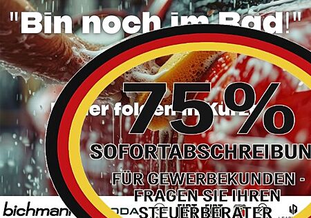 Leapmotor T03 70 kW Navi ALU PANO PDC