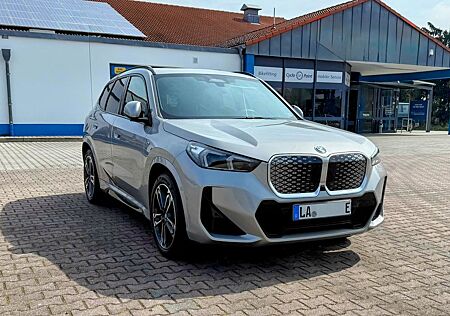 BMW iX1 xDrive30 -AHK,22kw,Parkass.Pano