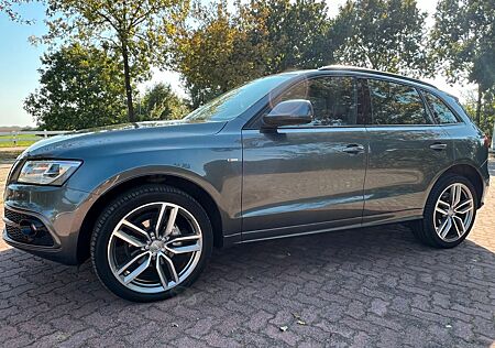 Audi Q5 2.0 TDI Quattro S-Line-Standhzg.-21 Zoll-ACC