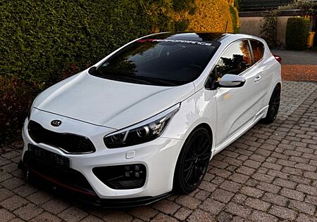 Kia Pro_ceed Ceed GT Typ JD 1.6L 204ps