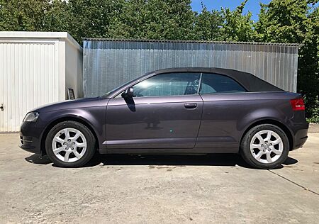 Audi A3 1.6 TDI Attraction Cabriolet Attraction