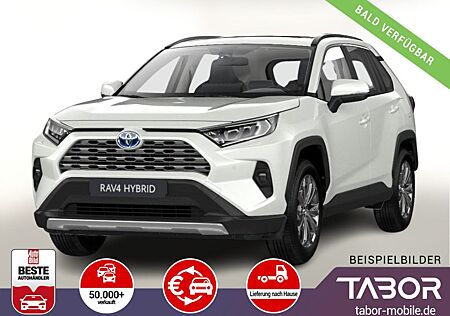 Toyota RAV 4 RAV4 2.5 Hybrid 222 4x4 Team D el.HK SHZ DigC