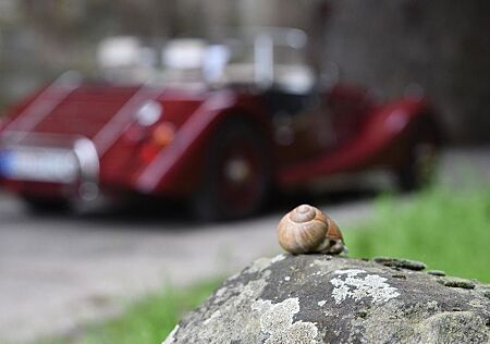Morgan 4/4 80th Anniversary