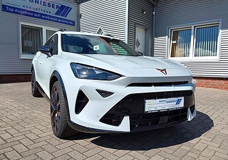 Cupra Formentor 2.0 TSI DSG VZ 4Drive ACC/AHK/LED/P...