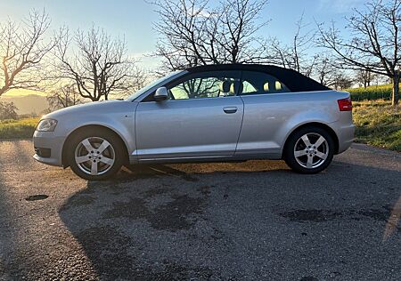 Audi A3 1.6 S line Cabriolet S line kein TFSI