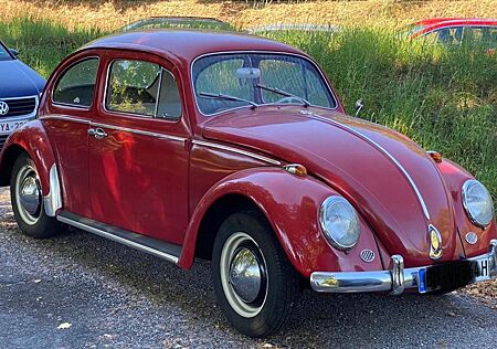 VW Käfer gebraucht kaufen VW Käfer Volkswagen 1200 A-EZ 1964-H Zulassung