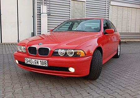 BMW 520d e 39 -1 Hand neu tüv bis 2027