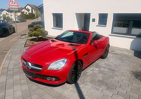 Mercedes-Benz SLK 250 CDI BlueEfficiency Automatik