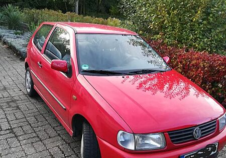 VW Polo Volkswagen 1.0 Basis