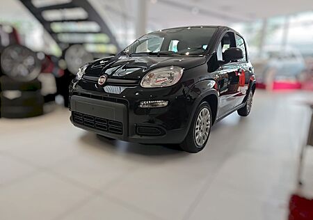 Fiat Panda Pandina Mild-Hybrid 51 kW