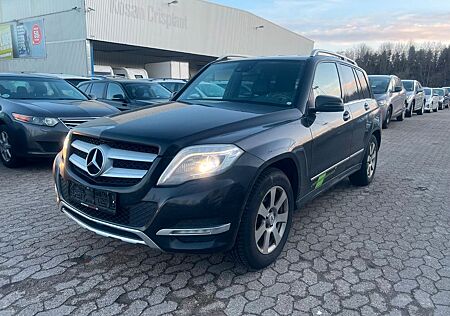 Mercedes-Benz GLK 250 BlueTEC 4MATIC LKW*NAVI*KLIMA* NR. 2260