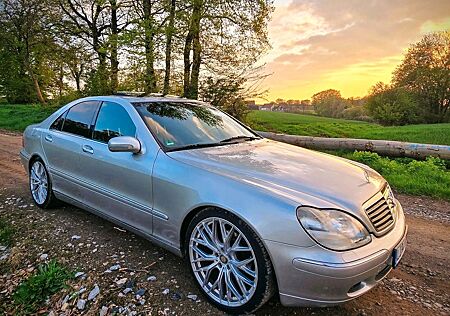 Mercedes-Benz S 320 W220 gepflegt