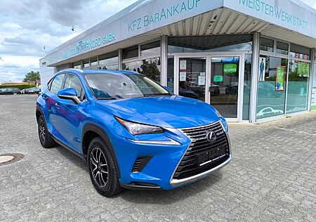 Lexus NX 300 NX 300H AMAZING EDITION*1.HAND*SCHECKH*LED*AHK*