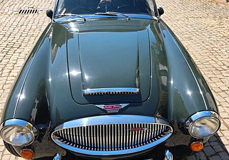 Austin Healey Andere