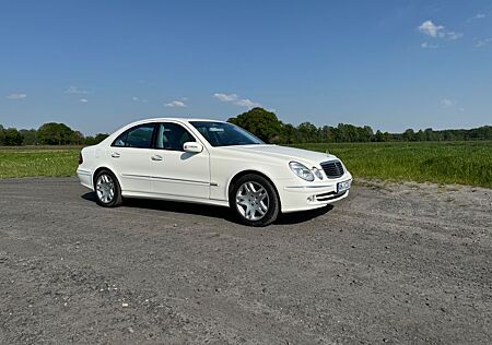 Mercedes-Benz E 500 AVANTGARDE Avantgarde W211 V8 Unverbastelt