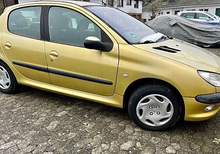 Peugeot 206 Grand Filou 60