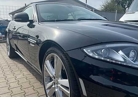 Jaguar XK Coupe / Cabriolet 5.0 V8 XKR Kompressor Coupe