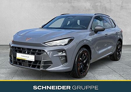 Cupra Terramar gebraucht kaufen Cupra Terramar VZ 2.0 TSI DSG 4DRIVE PANORAMA+AKEBONO+