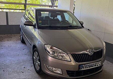 Skoda Fabia 1.6l TDI 66kW Elegance 1.Hand