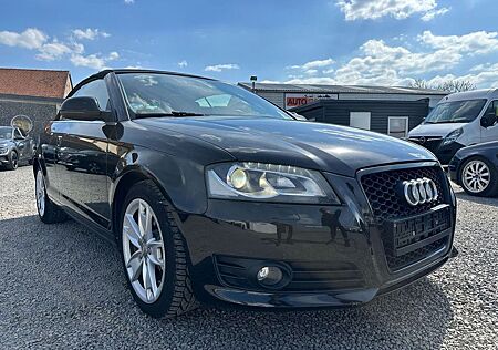 Audi A3 Ambition Leder Xenon