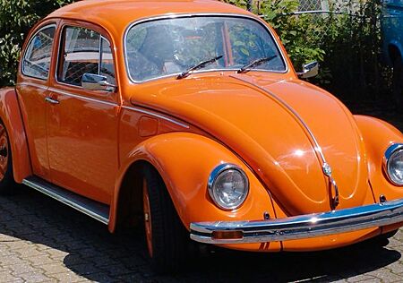 VW Käfer Volkswagen