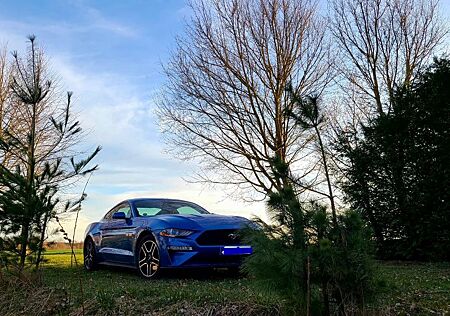 Ford Mustang 2.3 EcoBoost Coupe Premium