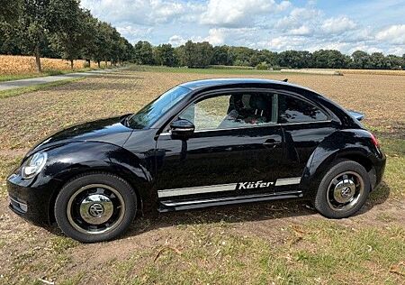 VW Beetle Volkswagen 1.4 TSI Design 160 PS Leder Sitzh Navi