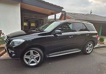 Mercedes-Benz ML 350 gebraucht kaufen Mercedes-Benz ML 350 BlueTEC 4MATIC -