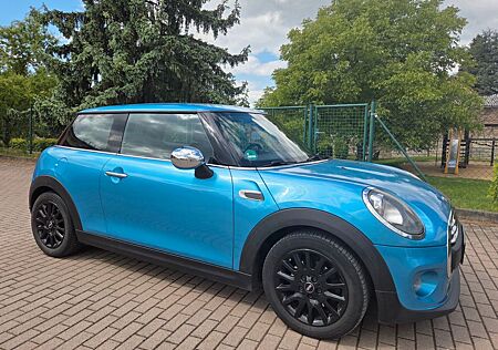 Mini One D 8-fach bereift
