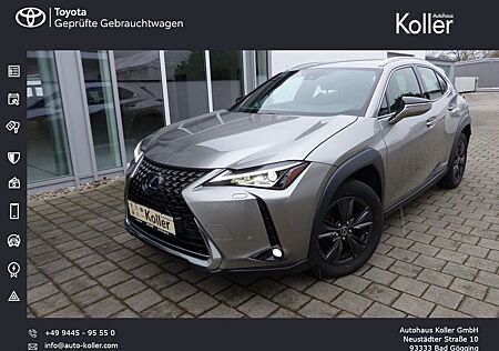 Lexus UX 250h Launch Edition Navi Kamera Velours DAB