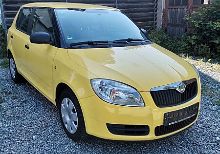 Skoda Fabia 1.2l Cool Edition Gasanlage CNG