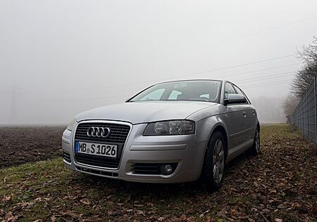 Audi A3 8P 1.9 TDI (DPF) Sportback