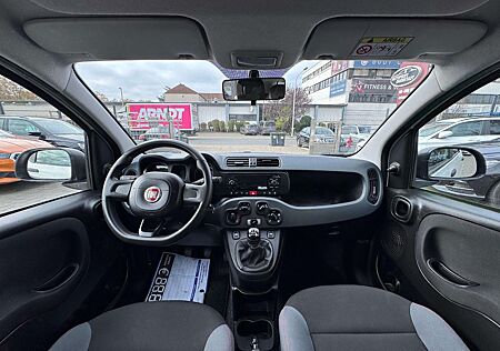 Fiat Panda TÜV AU NEU*KLIMA*USB*ISOFIX*EURO6*