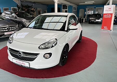 Opel Adam Jam SHZ PDC TEMP