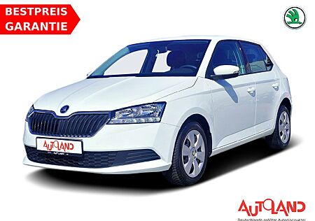 Skoda Fabia 1.0 MPI Ambition Klima Sitzheizung