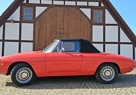Alfa Romeo Spider 1750 Veloce (Rundheck)