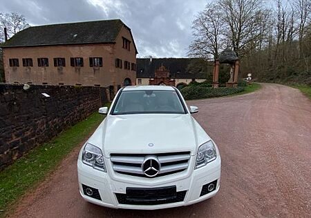 Mercedes-Benz GLK 220 CDI BlueEFFICIENCY -
