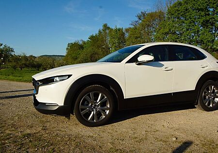 Mazda CX-30 SKYACTIV-X 2.0 M Hybrid LEDER KAMERA HUD
